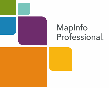 mapinfo professional